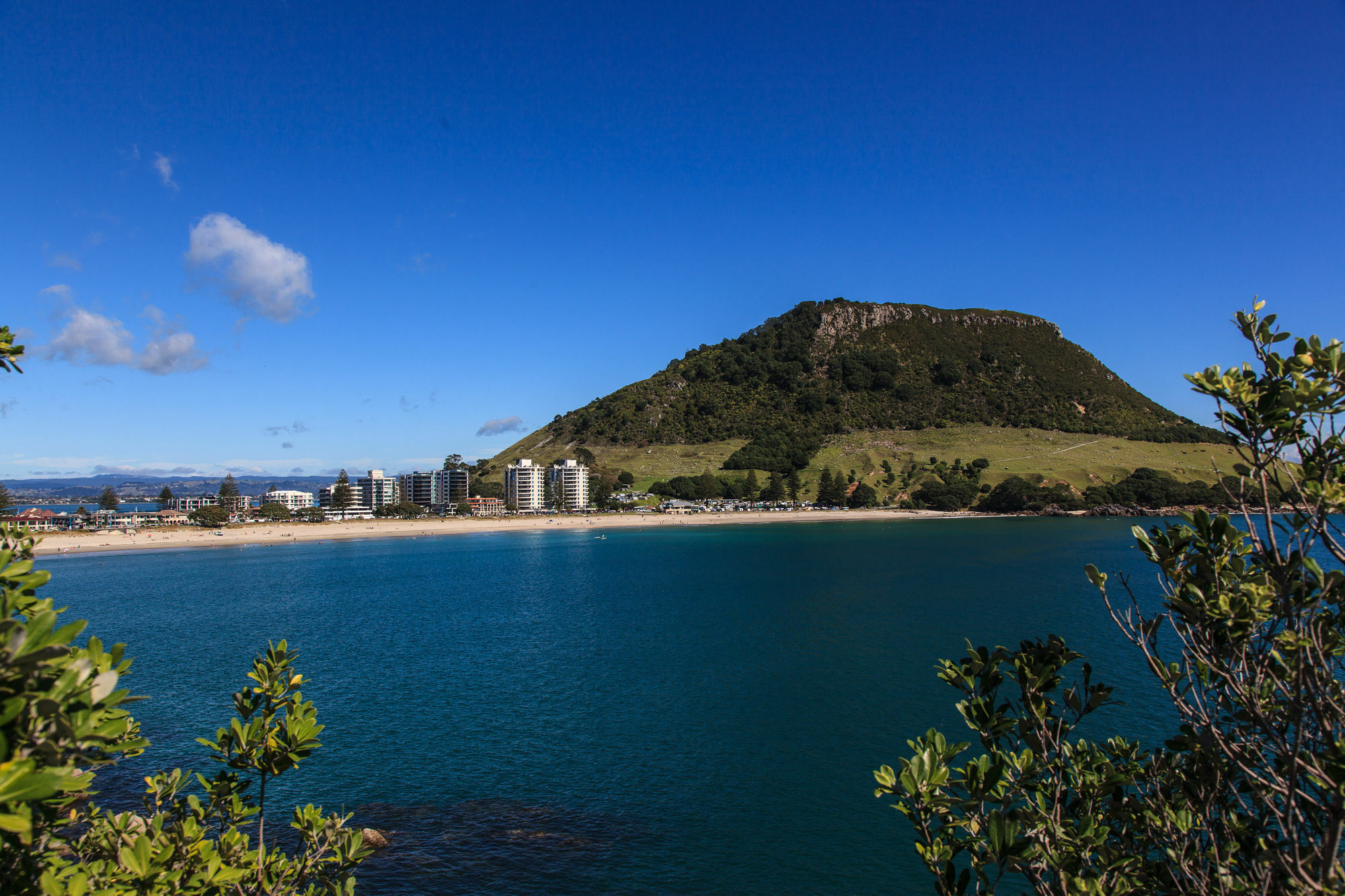 Seascape Villa B&B Tauranga Esterno foto